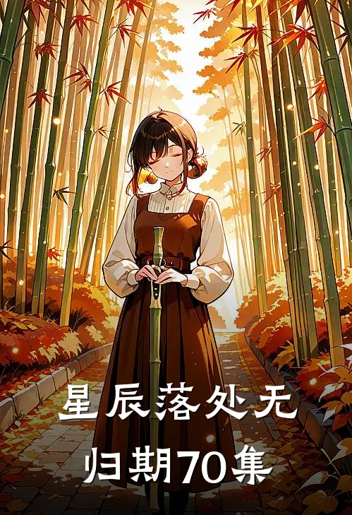 星辰落处无归期70集